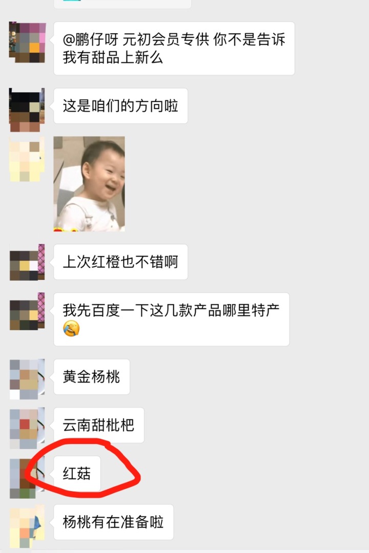 鵬仔的憂傷