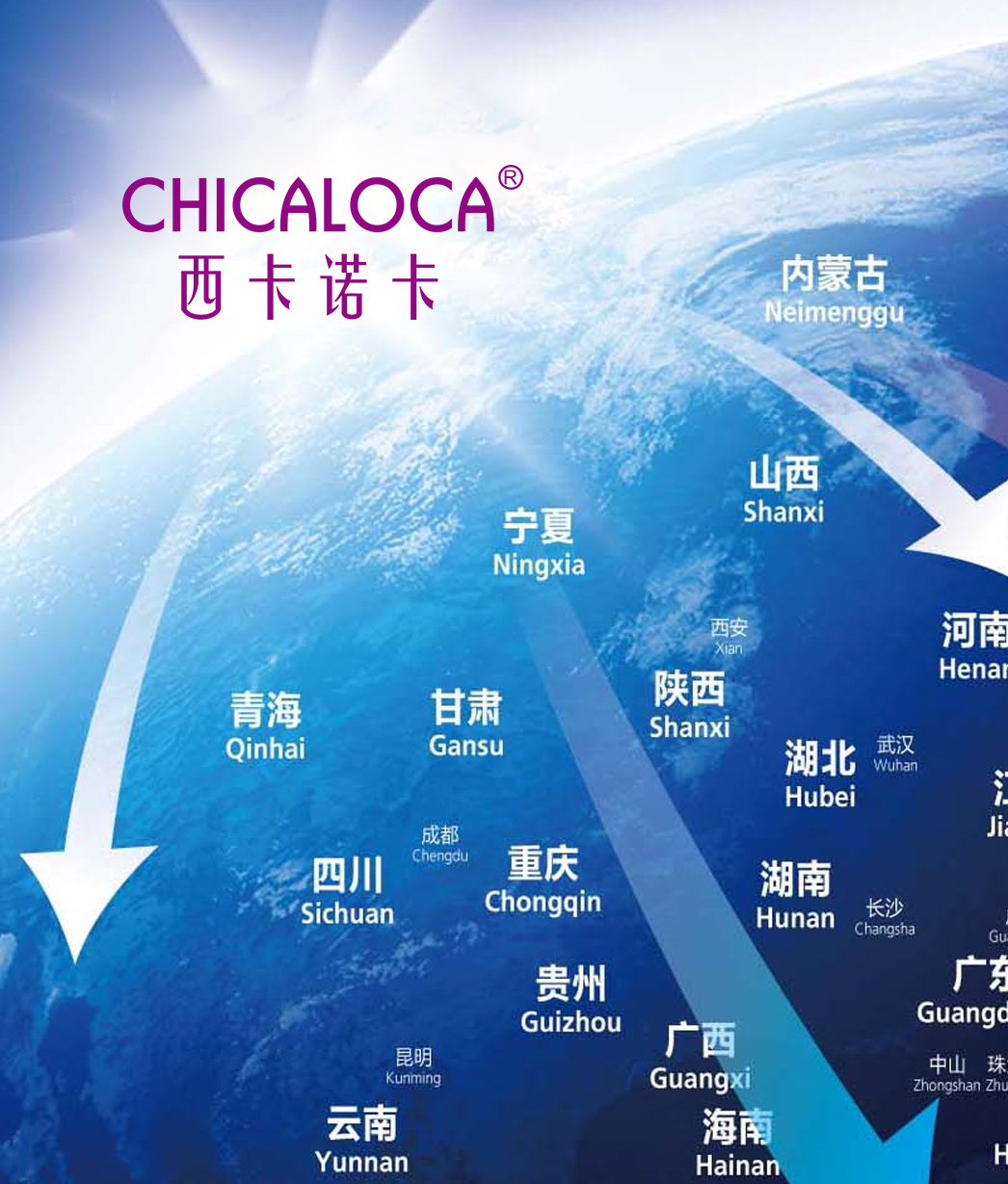 总经理:秦晓亮 主题:西卡诺卡互联网布局