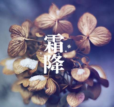 今日霜降一曲《想着你亲爱的》暖暖祝福送给你