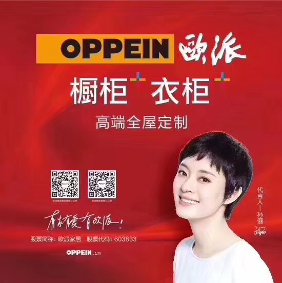厦门欧派衣柜报单模板