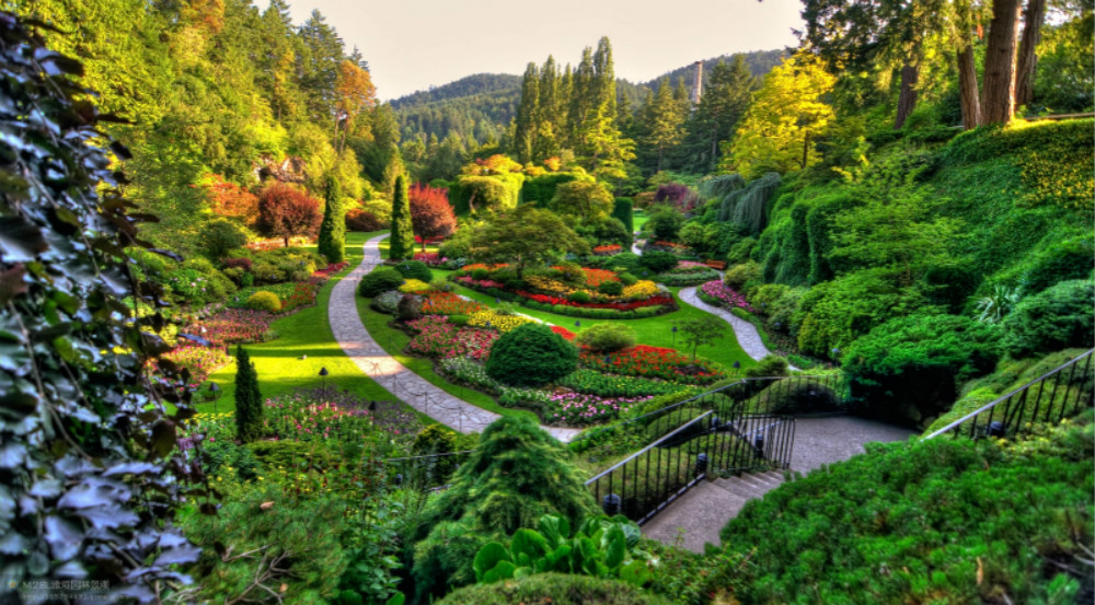 the butchart gardens  布查德花园位于托特湾,距离bc省维多利亚大约