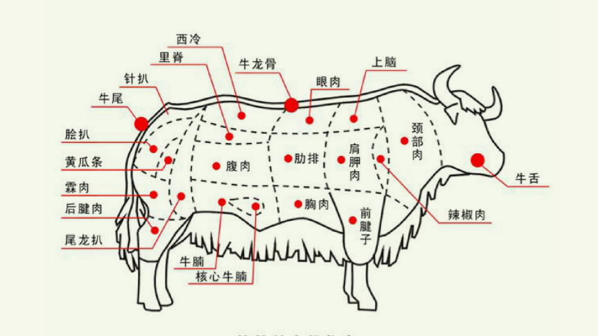 上脑,眼肉,肩胛肉,颈部肉,胸肉统称为牛前 牦牛部位分解