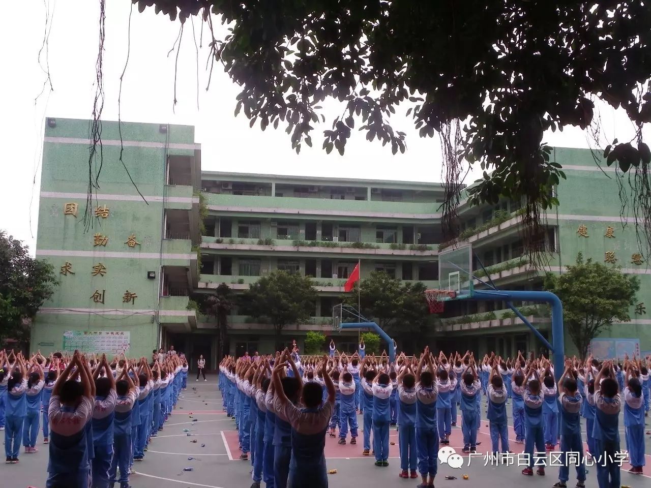 广州市白云区同心小学2019秋季招生简章