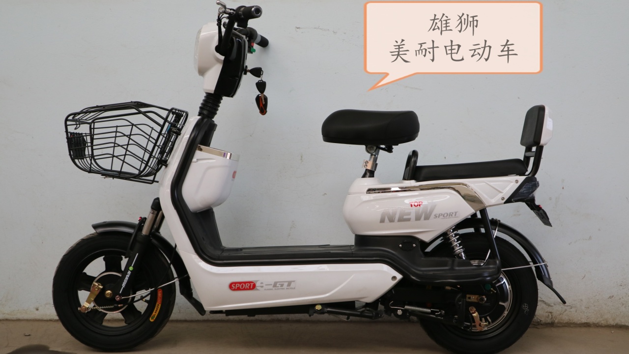 美耐電動車