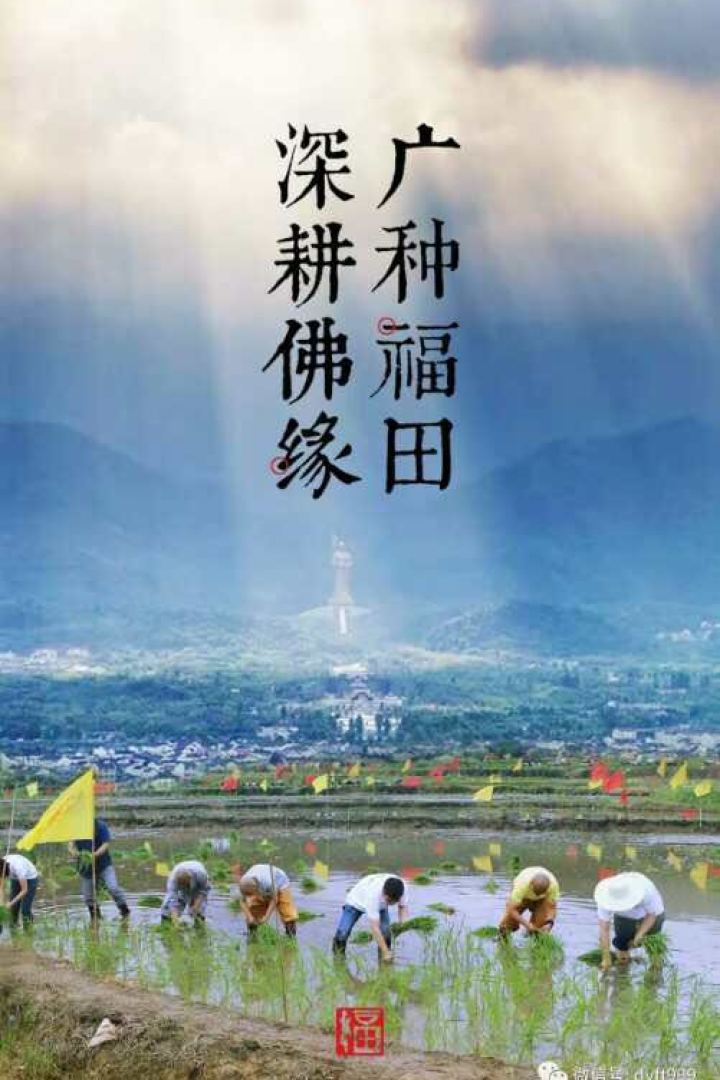 耕耘自己心中的那塊福田