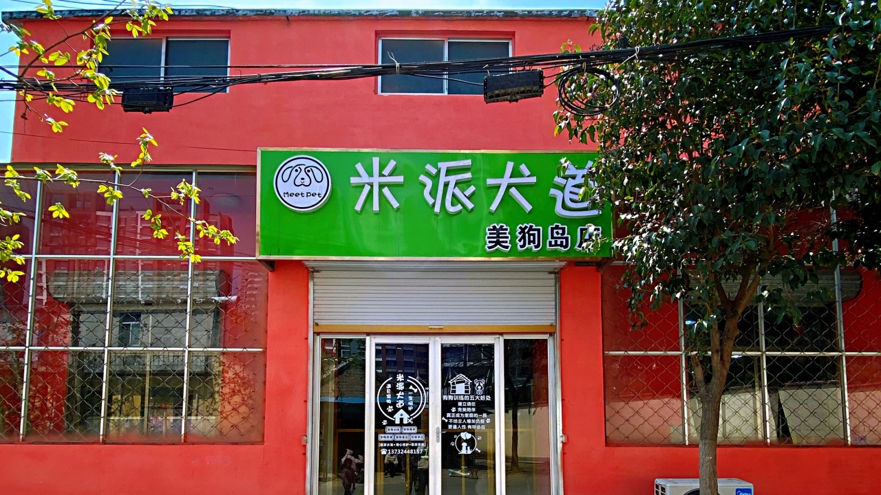 菏澤首家伴侶犬訓(xùn)導(dǎo)中心-米派犬道