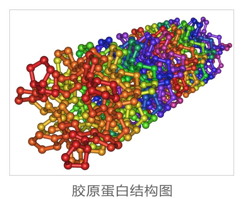 昆明国药会蓝海市场/重组人源iii型胶原蛋白