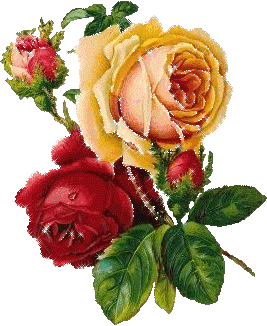 想你了!这里有些话,早想对你说了!