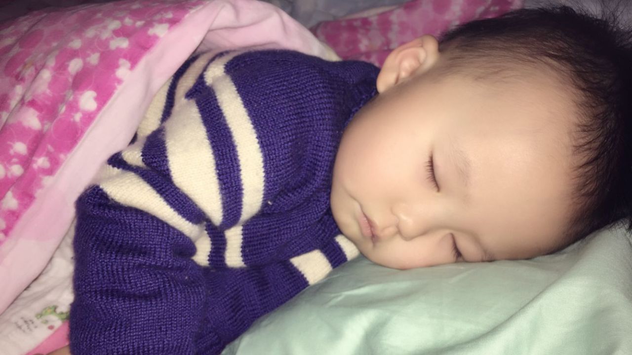 汤圆成长记三