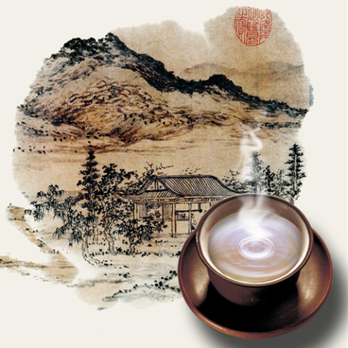 不買貴的，買需要的——碧生源常潤茶