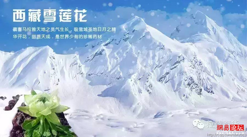 西藏雪域高原特产-藏宝汇