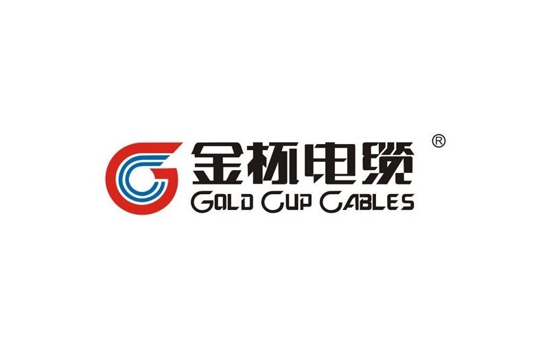 维翼丰华开业盛典