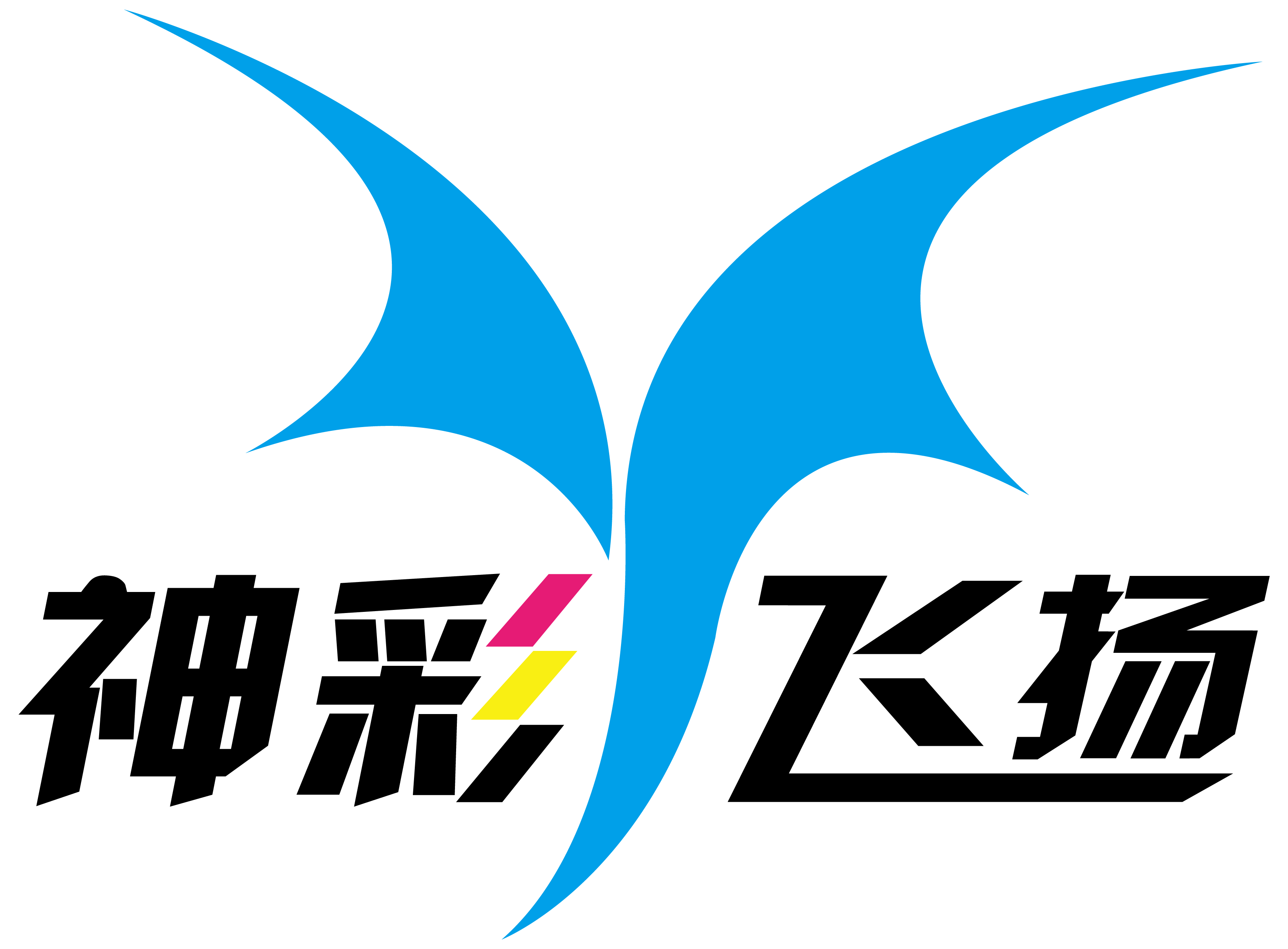神彩飞扬印刷5周年庆 暨 2016团年晚宴