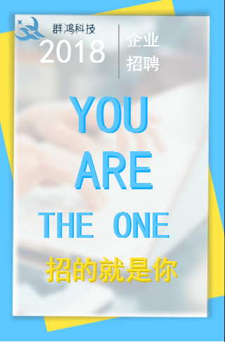 福建群鸿科技网络科技有限公司企业招聘