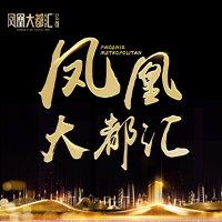 印象·凤凰大都汇 凤凰城心 耀世登场”