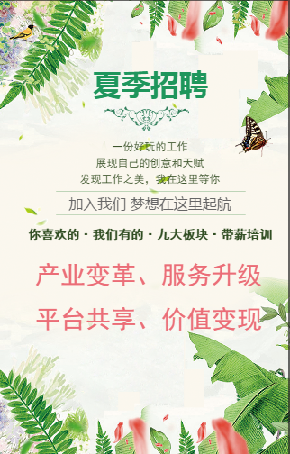 青春集团夏季招聘