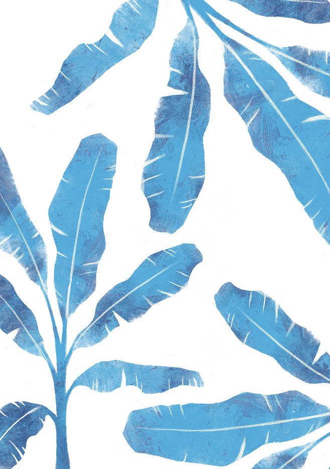 祝苗苗姐生日快乐