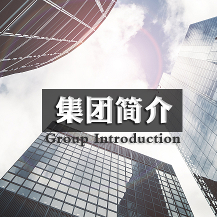 集团公司介绍