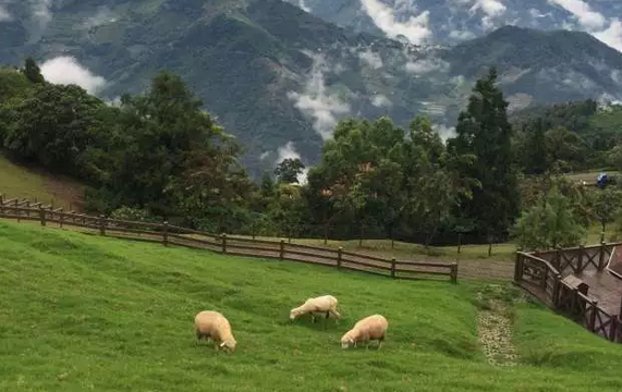 5月2日晚19点，途家及斯维登联合创始人罗军分享“共享农庄”