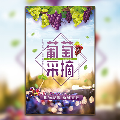 葡萄采摘 歌舞表演