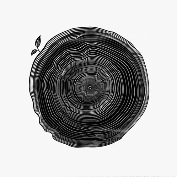 高维禅商研修课 · 广州