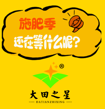 大田之星|秋季追肥別輕視，低投入！高回報(bào)！等你來(lái)?yè)? width=