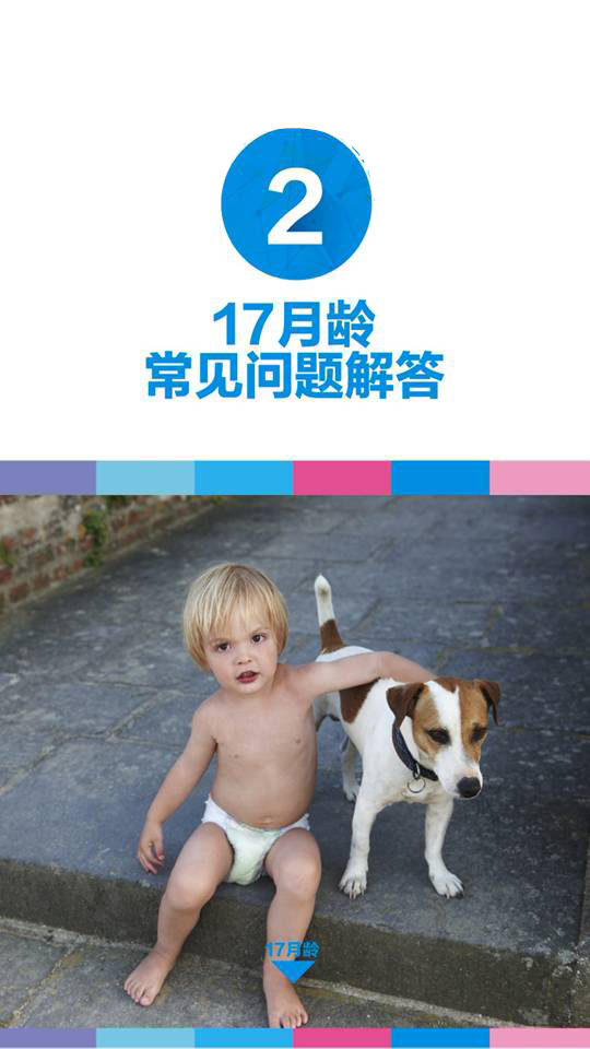 17月寶寶發育篇