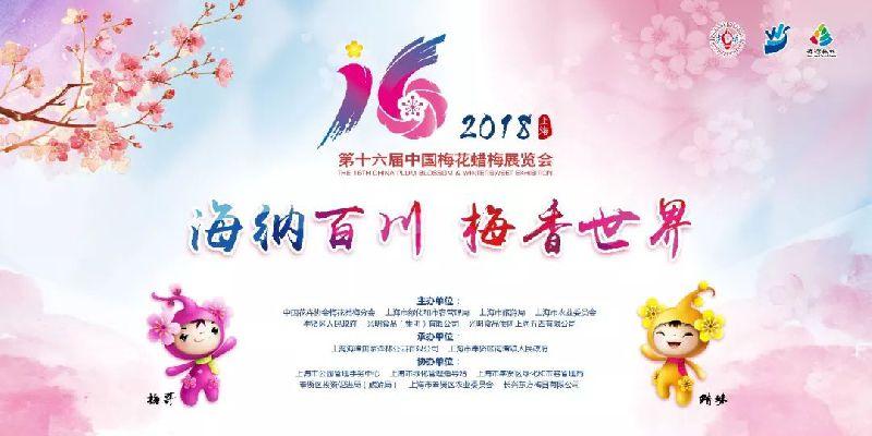 梅花節