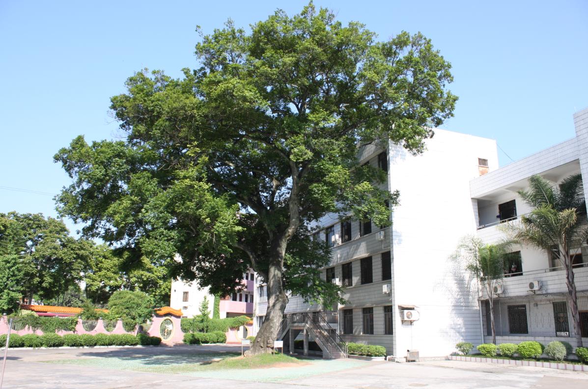 平远中学110周年校庆 欢迎您回母校看看