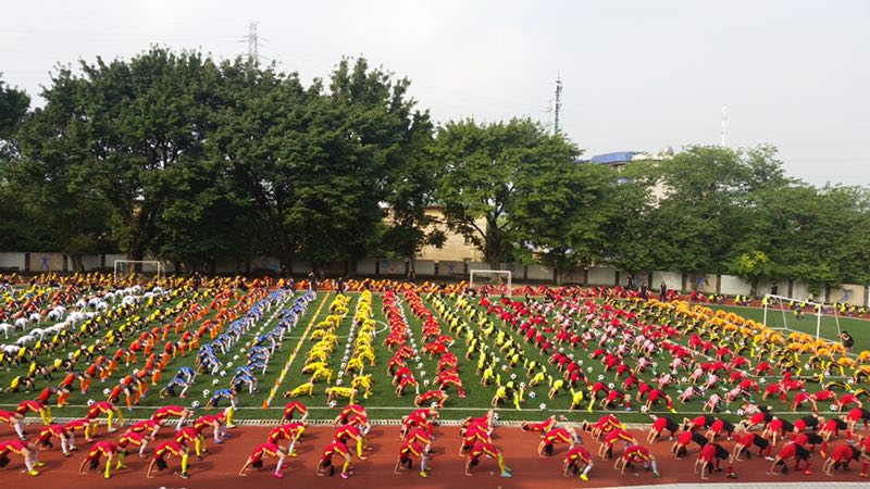 广州市黄埔区新港小学2017年招生咨询日