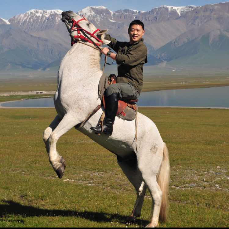 新疆喀纳斯空中花园马背浪漫之旅