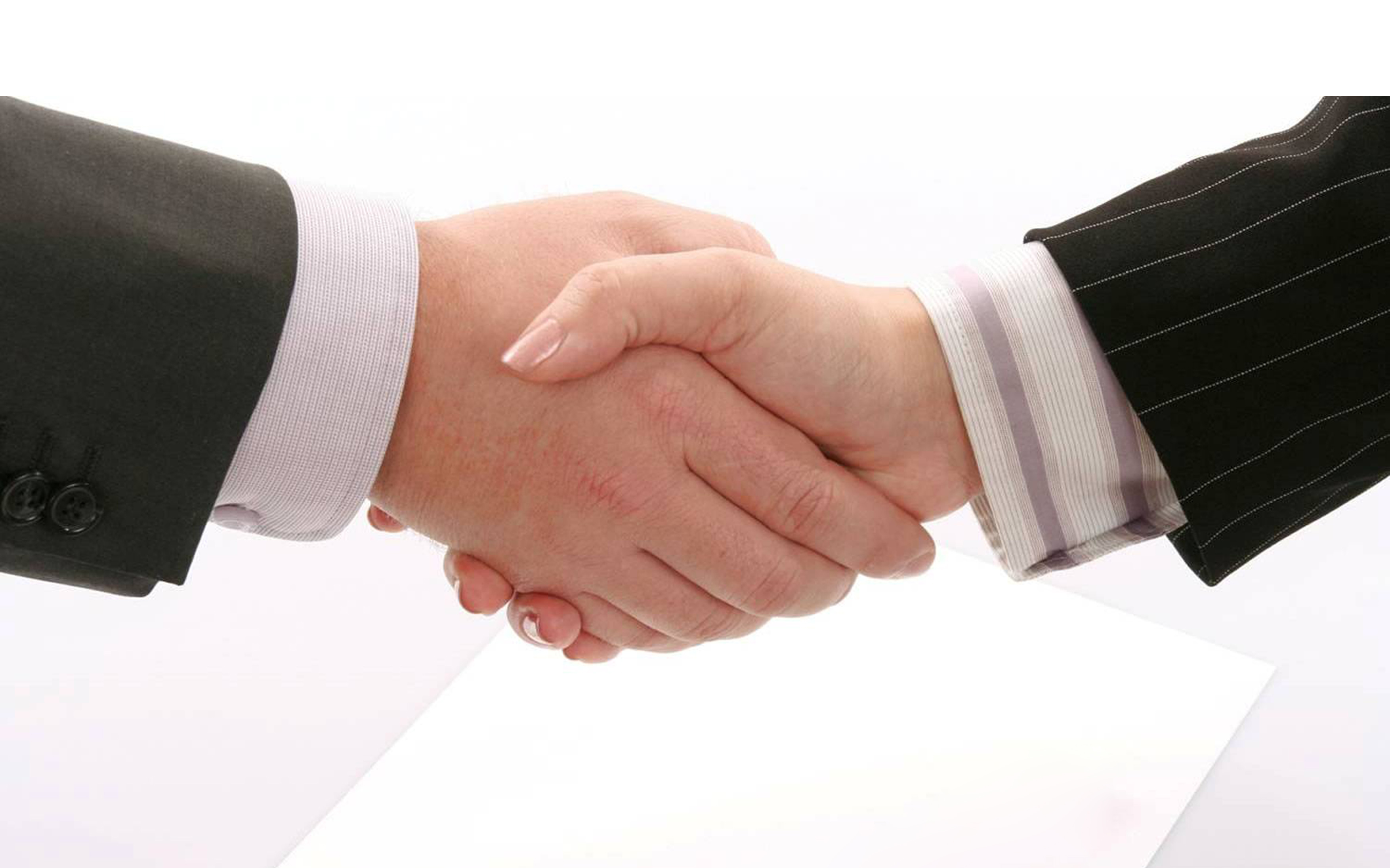 牵手精灵宠物乐园欢迎您的加入.