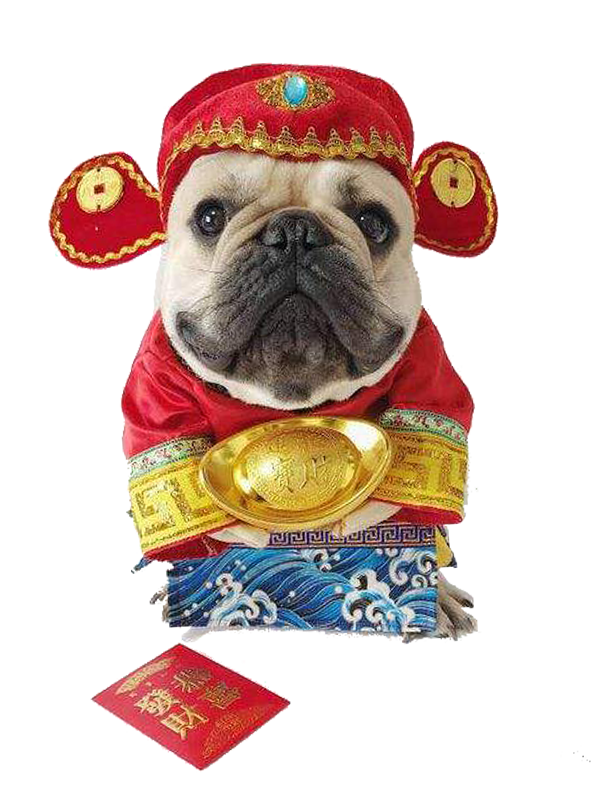 旺狗祈福,阖家幸福!