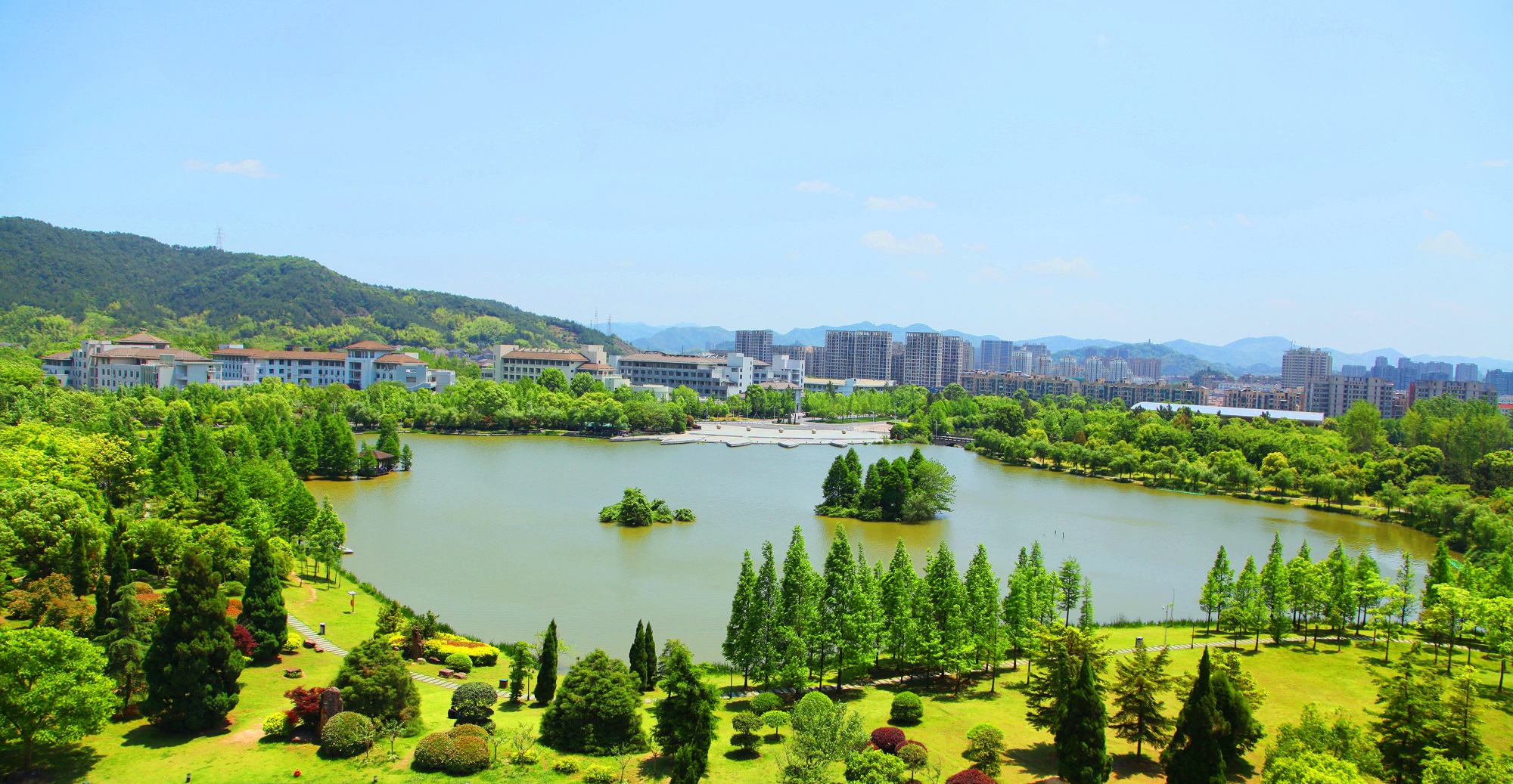 我是第26729位向浙农林大说520的人