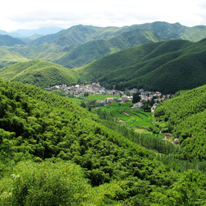 莫干山鎮(zhèn)行政村簡介