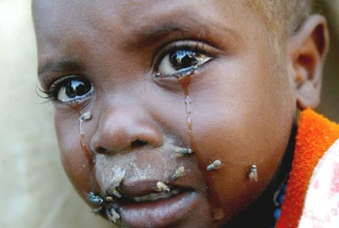 丁酉年大型祈福法会