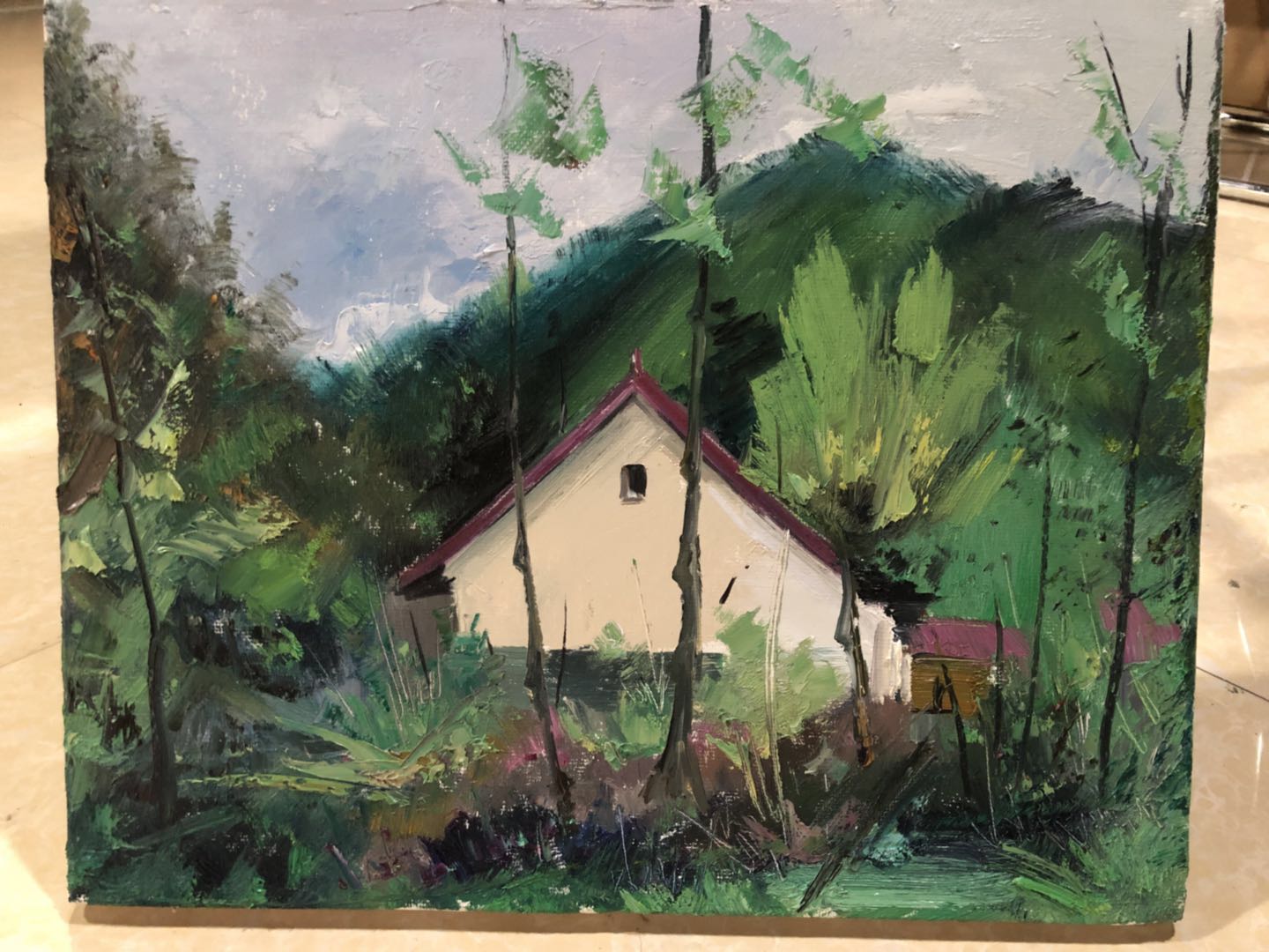 西安情采油画学会镇安云盖寺写生圆满成功