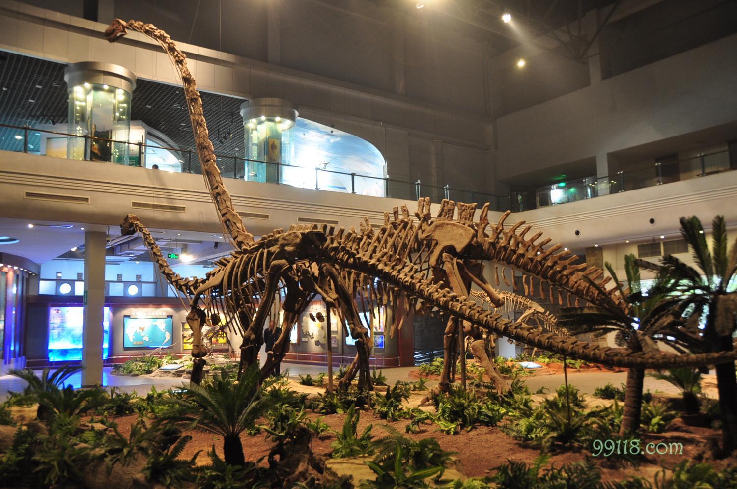 自贡恐龙博物馆旅游宣传