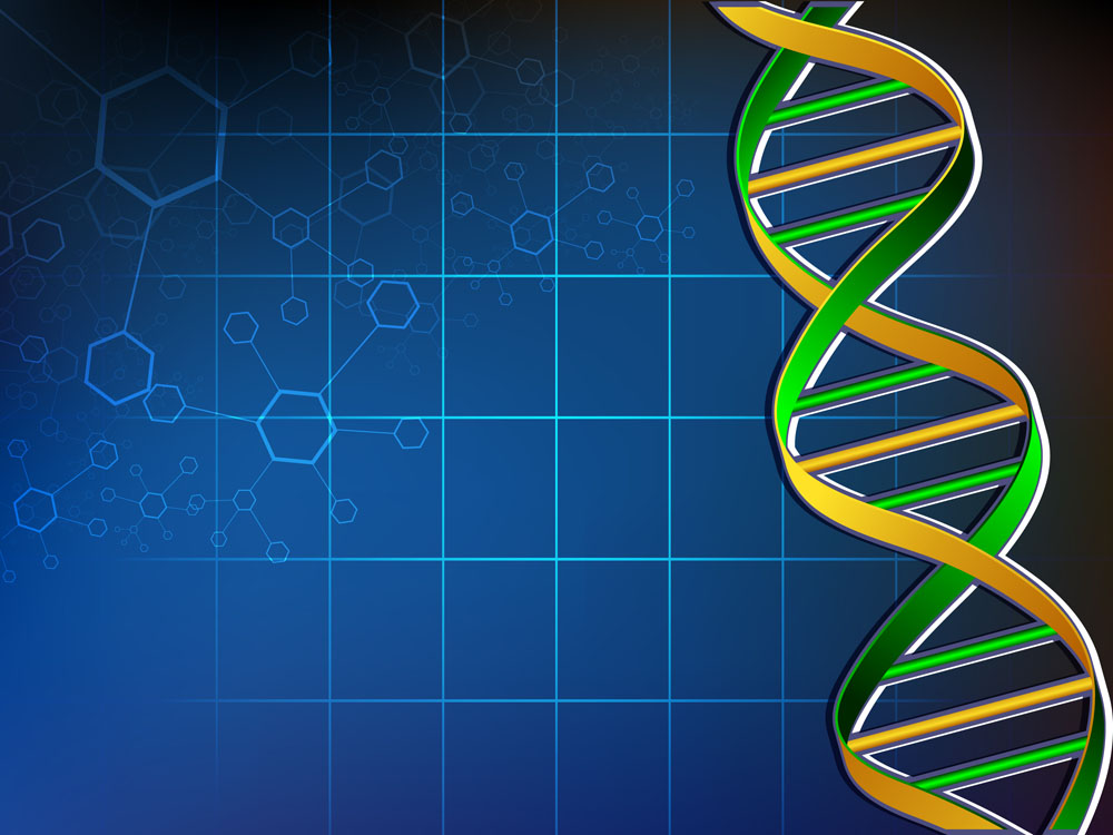 2017年进化生物学暑期班报名通知