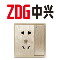 [副本]中興 拉絲香檳金G8系列開關(guān)插座