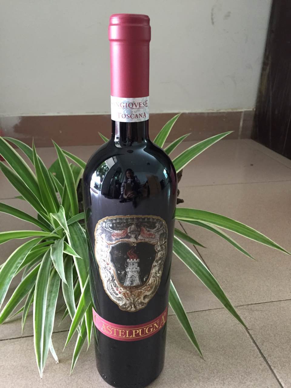 卡斯特普纳红葡萄酒