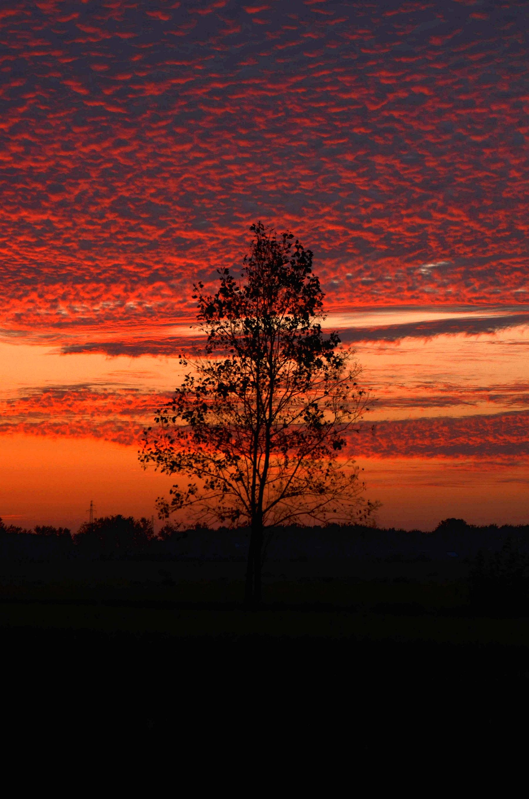 彩霞满天——沈林成/摄