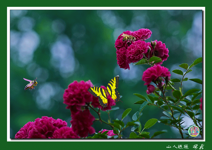 700_495gif 动态图 动图