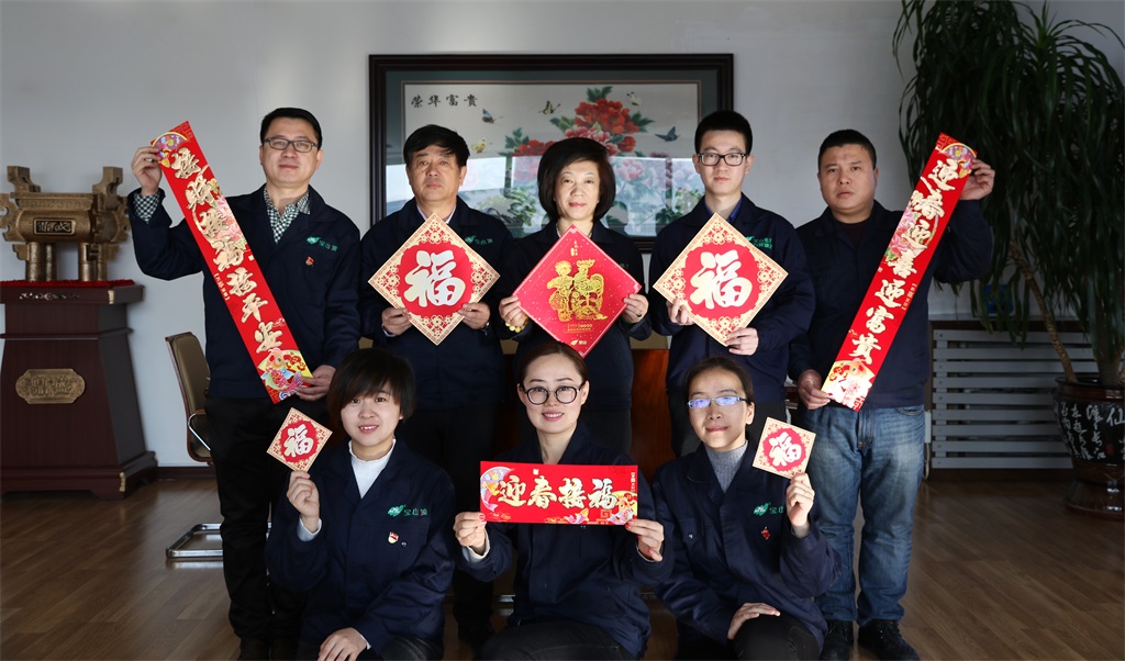 【拜年啦】宝山集团 "吉"聚贺鸡年!