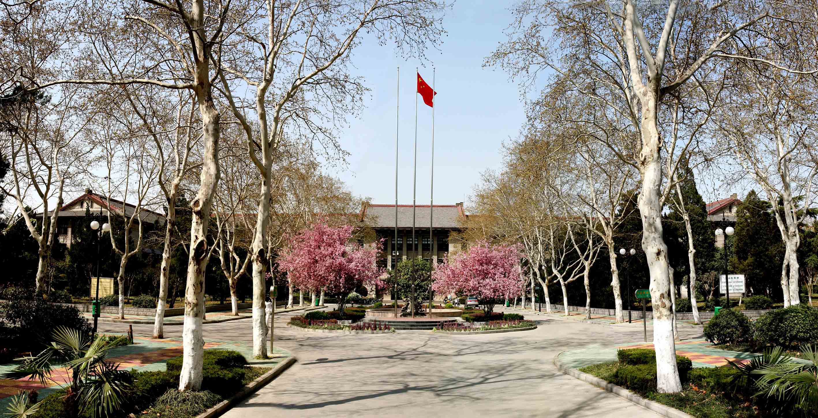 我是第471288位为安农接力送祝福的