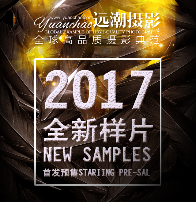 2017最新樣片匠心古裝預售發布