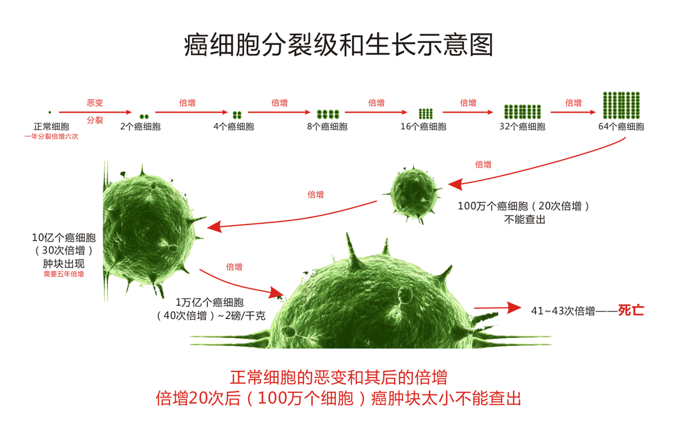 我是第23581位参加此次点击的用户