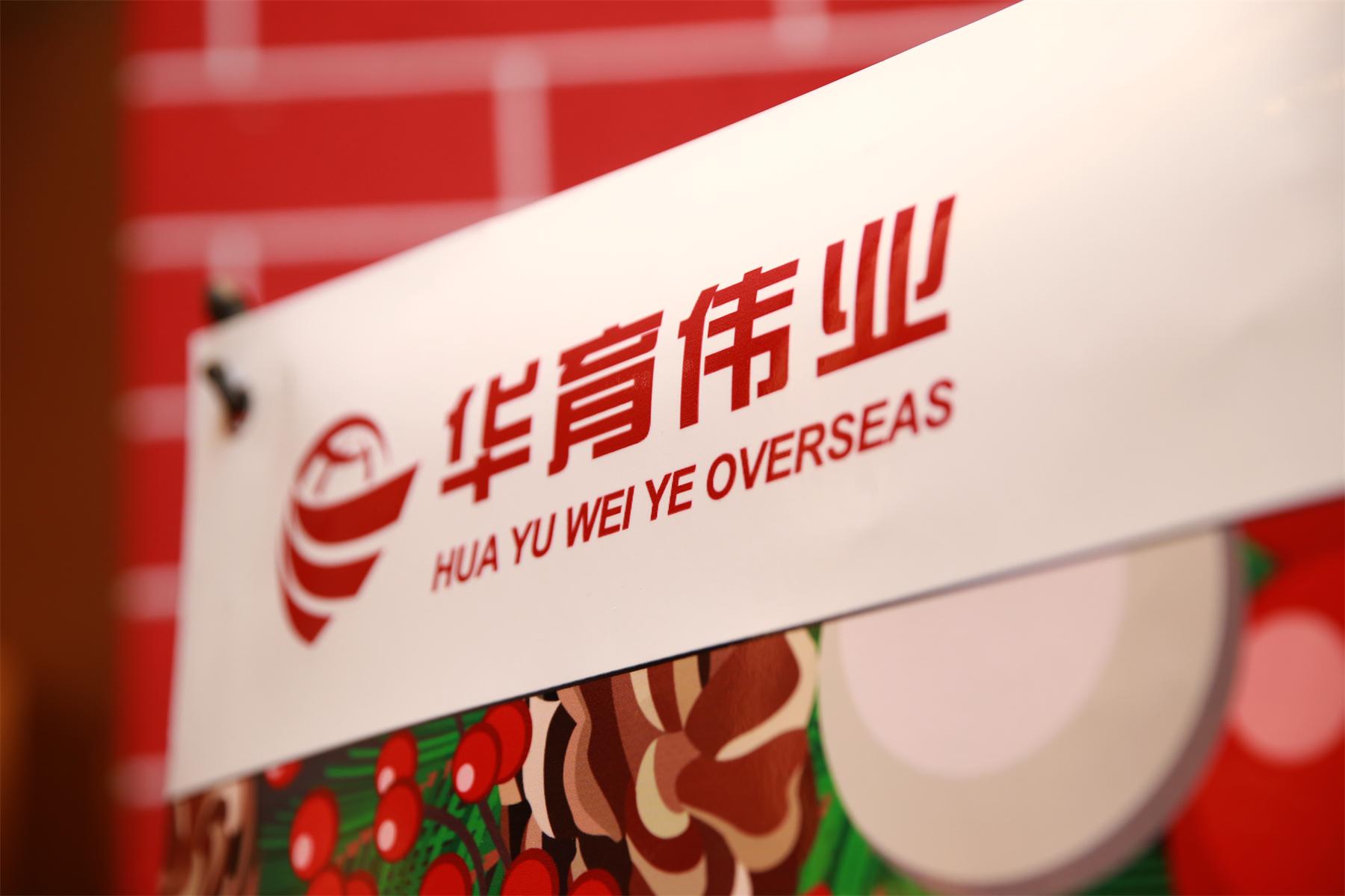 2019华育伟业国际教育展