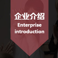 企业发展愿景