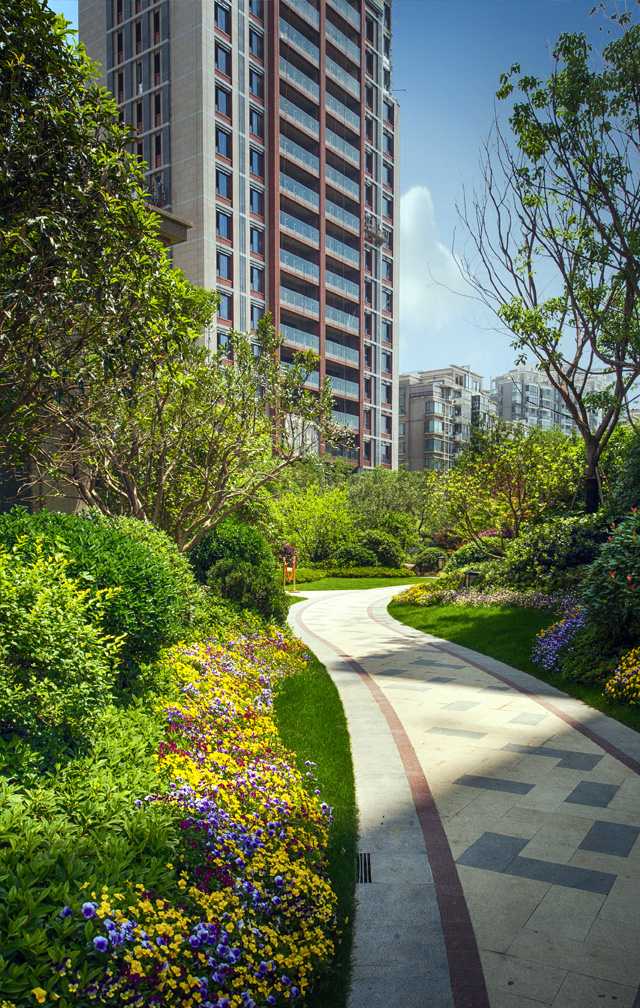 南京金陵雅颂居